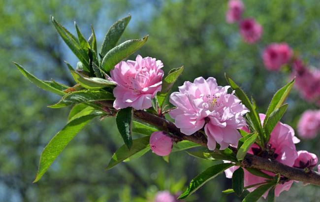 菠菜交流平台(菠菜信息) (3)